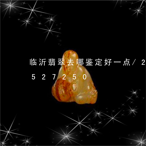 临沂翡翠去哪鉴定好一点/2023111527250