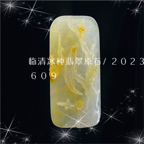 临清冰种翡翠原石/2023042740609