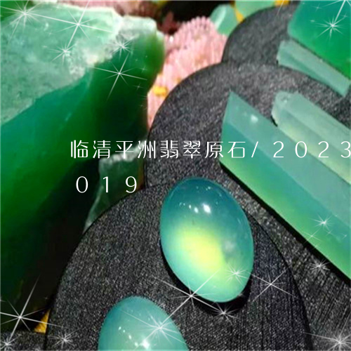 临清平洲翡翠原石/2023042735019