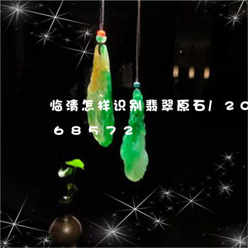 临清怎样识别翡翠原石/2023072168572