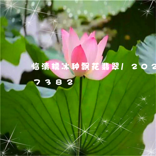 临清糯冰种飘花翡翠/2023110147382