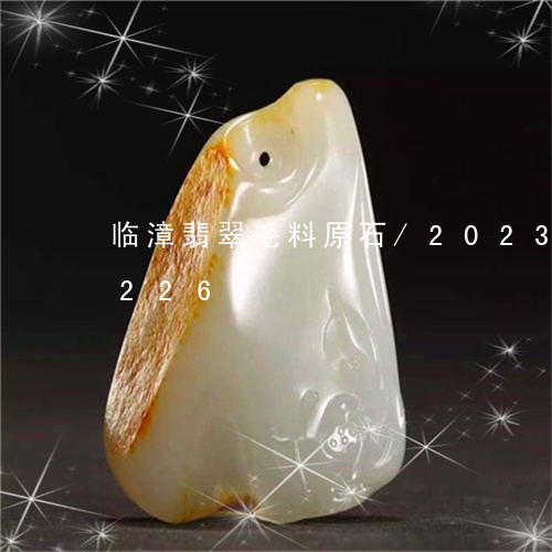 临漳翡翠毛料原石/2023042718226