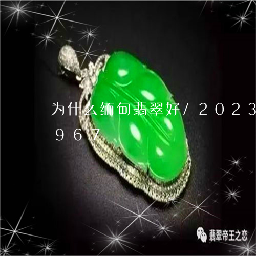 为什么缅甸翡翠好/2023042793967