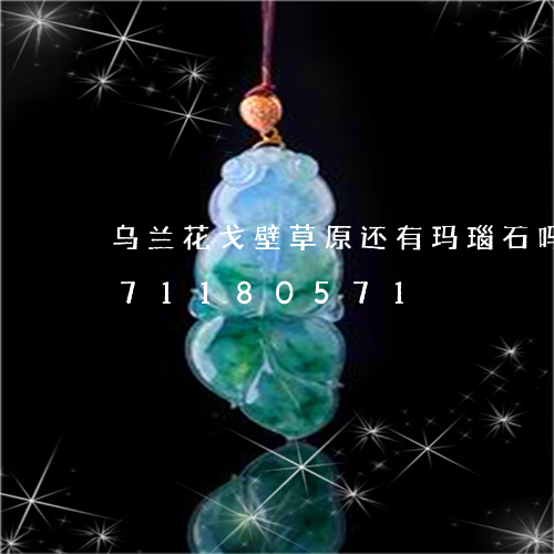 乌兰花戈壁草原还有玛瑙石吗/2023071180571