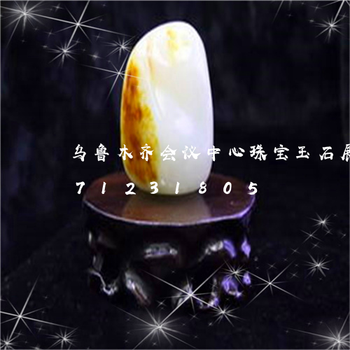 乌鲁木齐会议中心珠宝玉石展/2023071231805