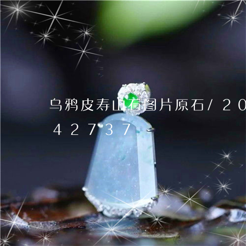 乌鸦皮寿山石图片原石/2023072142737