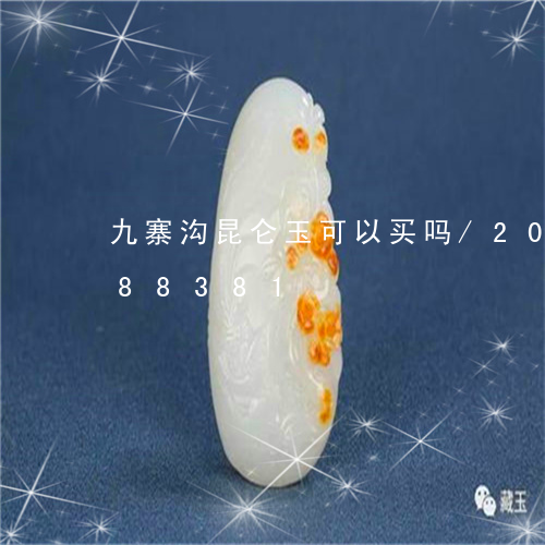 九寨沟昆仑玉可以买吗/2023072288381