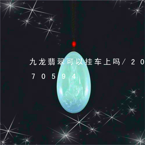 九龙翡翠可以挂车上吗/2023072270594