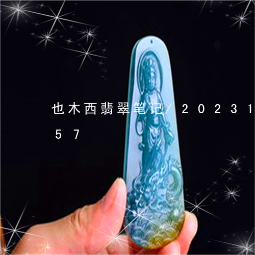 也木西翡翠笔记/2023121646157