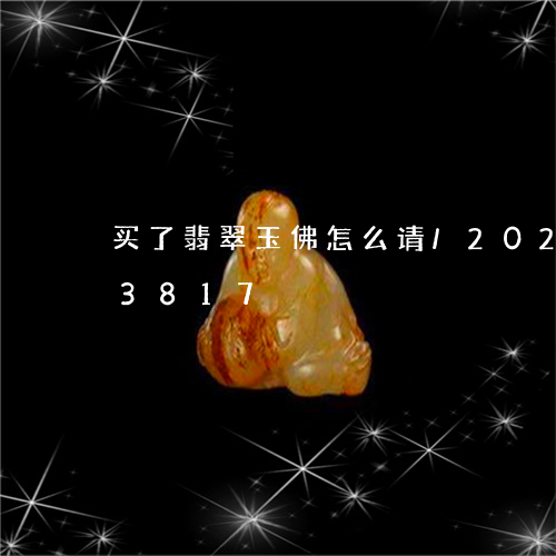 买了翡翠玉佛怎么请/2023120553817