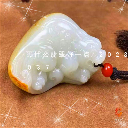 买什么翡翠好一点/2023042745037