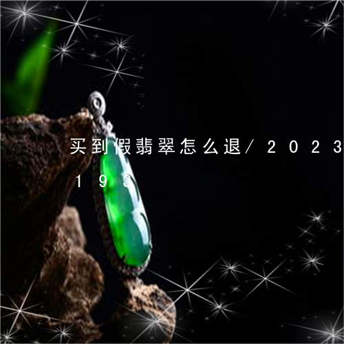 买到假翡翠怎么退/2023042794193