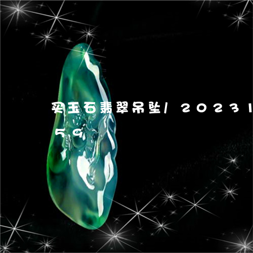 买玉石翡翠吊坠/2023121605859