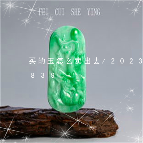 买的玉怎么卖出去/2023042751839