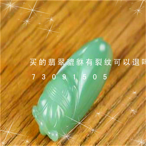 买的翡翠貔貅有裂纹可以退吗/2023073091505