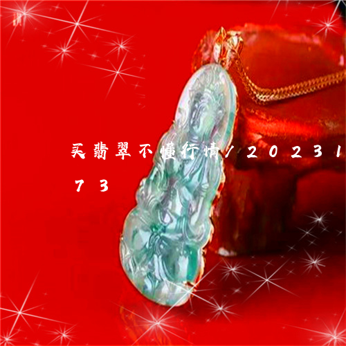 买翡翠不懂行情/2023112311573