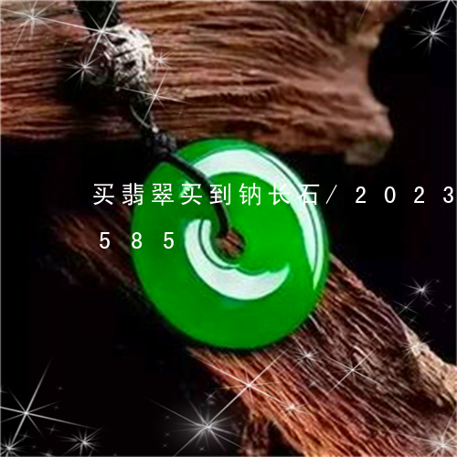 买翡翠买到钠长石/2023042756585