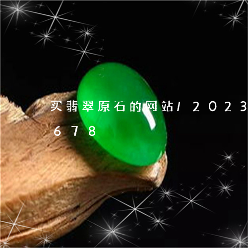 买翡翠原石的网站/2023042779678