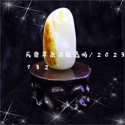 买翡翠原石能退吗/2023042705932