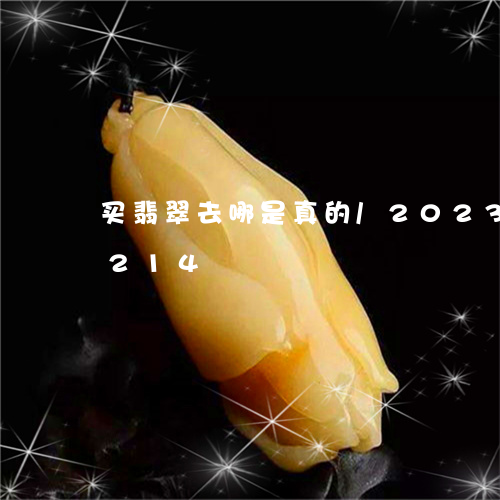 买翡翠去哪是真的/2023042742214