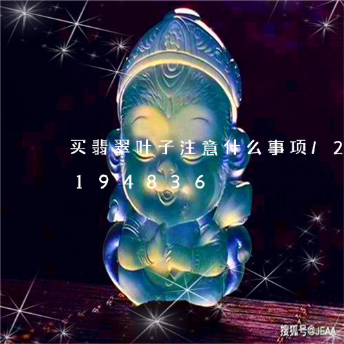 买翡翠叶子注意什么事项/2023110194836