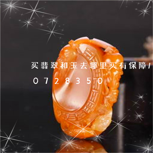 买翡翠和玉去哪里买有保障/2023110728350