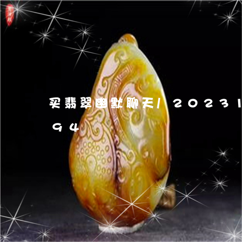 买翡翠幽默聊天/2023121782594