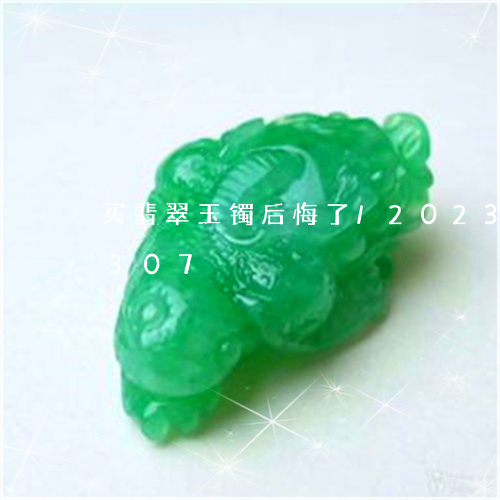 买翡翠玉镯后悔了/2023042749307