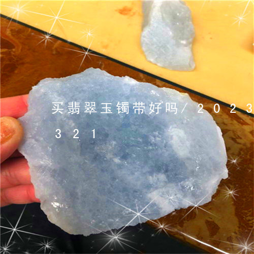 买翡翠玉镯带好吗/2023042778321