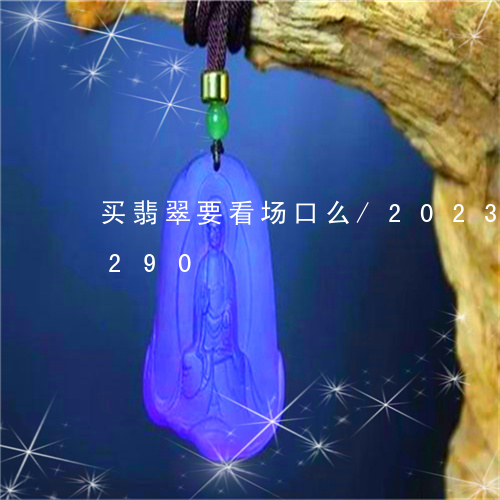 买翡翠要看场口么/2023042776290