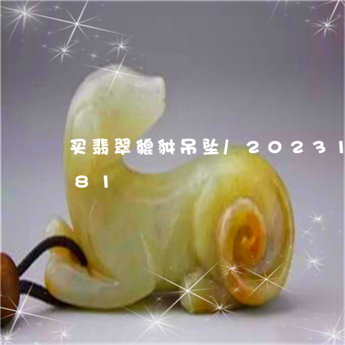 买翡翠貔貅吊坠/2023121610481