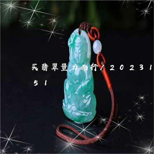 买翡翠量力而行/2023121626151