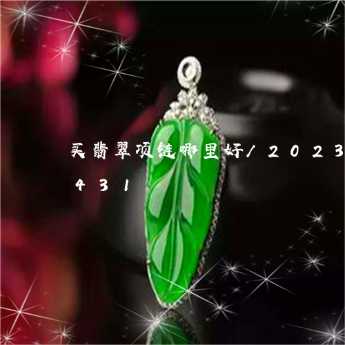 买翡翠项链哪里好/2023042746431