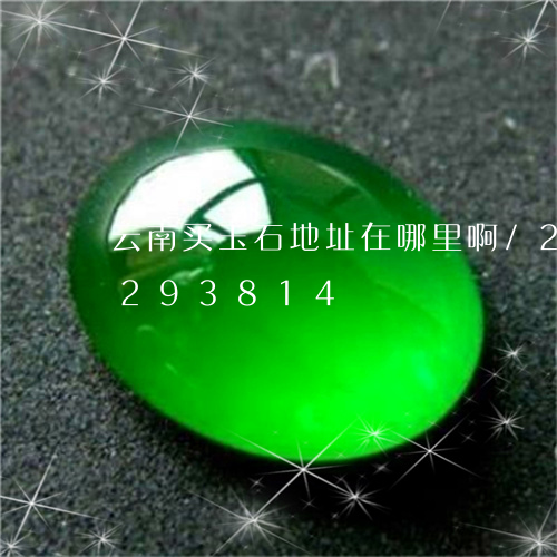 云南买玉石地址在哪里啊/2023110293814