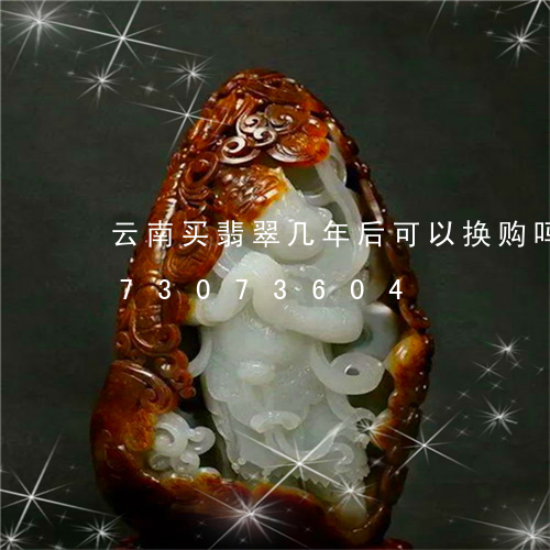 云南买翡翠几年后可以换购吗/2023073073604