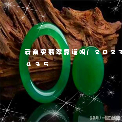 云南买翡翠靠谱吗/2023042749435