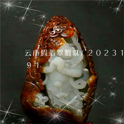 云南假翡翠貔貅/2023121649491