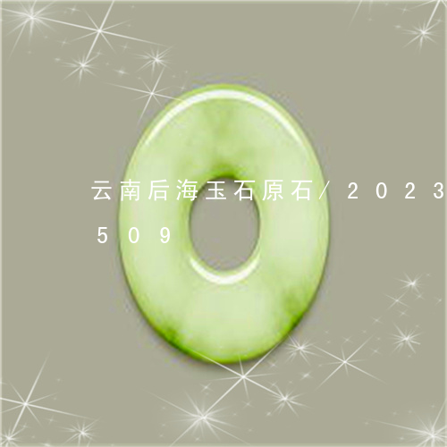 云南后海玉石原石/2023042778509