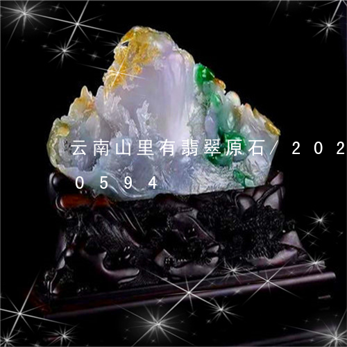 云南山里有翡翠原石/2023102570594