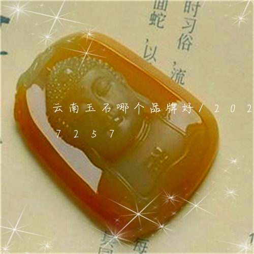 云南玉石哪个品牌好/2023103177257