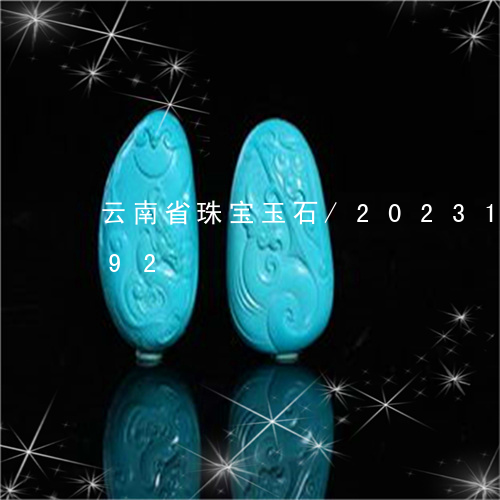 云南省珠宝玉石/2023101640492