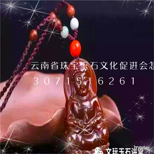 云南省珠宝玉石文化促进会怎么样/2023071516261