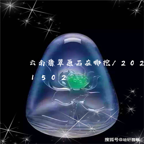 云南翡翠原石在哪挖/2023103131502