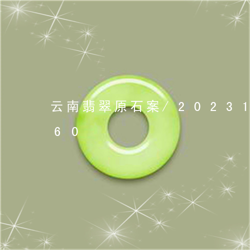 云南翡翠原石案/2023101605160