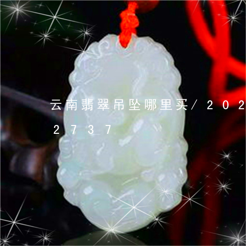 云南翡翠吊坠哪里买/2023103152737