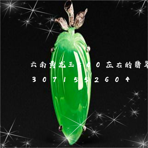 云南黄龙玉500左右的翡翠手镯/2023071552604