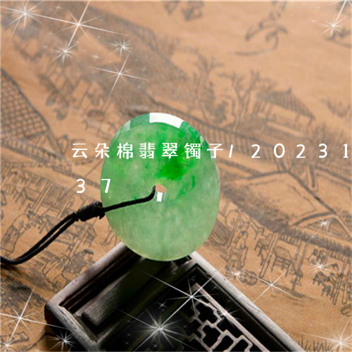 云朵棉翡翠镯子/2023121502637