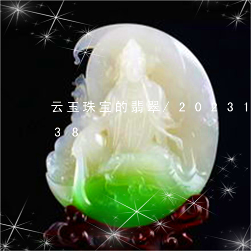 云玉珠宝的翡翠/2023101736038