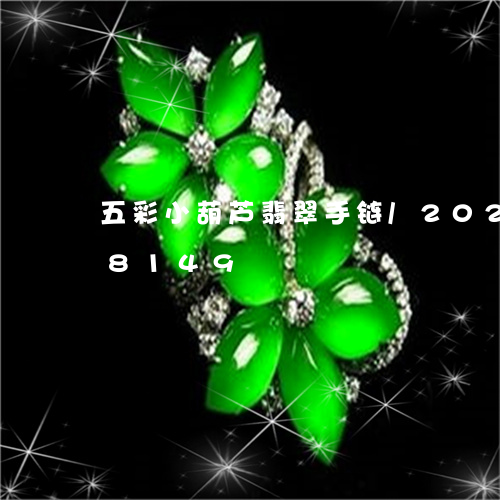 五彩小葫芦翡翠手链/2023102648149