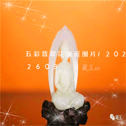 五彩翡翠花镶嵌图片/2023112382603